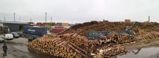 Log loading system