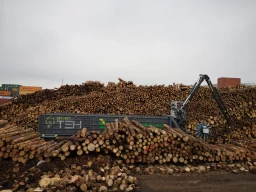 Log loading at port in Latvia 