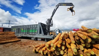 Container load with spruce logs