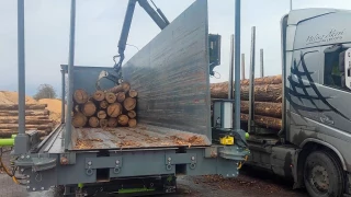 Container loading system for logs