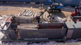 Horizontal log loading into container